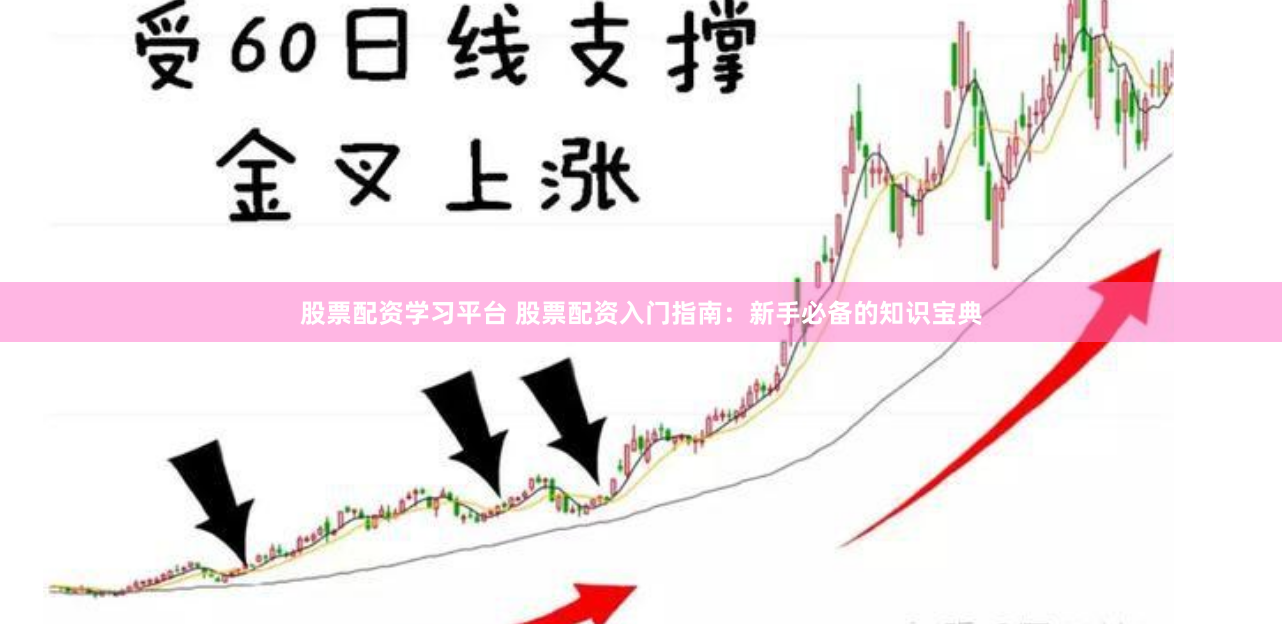 股票配资学习平台 股票配资入门指南：新手必备的知识宝典